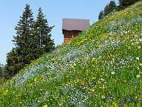 20140609 142230  Cabane at Les Vanils