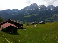20140601 112748  On the ridge just above Rougemont