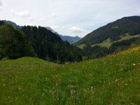 20140601 113929  Verdant foothill pastures