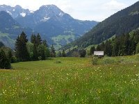 20140601 115203  Looking down the drainage toward Chateau d&#39;Oex