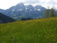 20140601 115703  Videmanette and Gummfluh, the highest peak south of town