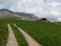 20140601 122326  Road to alpage