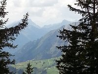 20140601 143935  Pre-Alp greenery