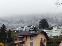 20140324 080547  The snow came down almost to our level.