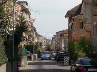 20140331 150700  31 March post fish feeding - the view from Lausanne to the Rochers de Naye