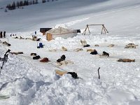 1966755 776650429013581 45673139 n  Finally, the weather broke and we headed up the road to the hut. Dog sledding was a big thing here.