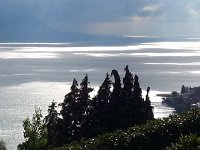 20140503 175644  Trees and lake