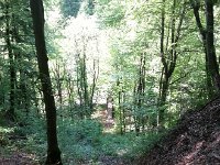 20140518 161307  Looking down to the bridge over the Baye de Clarens