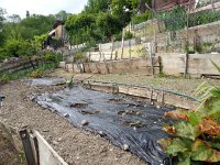 20140519 181629  The garden partially planted