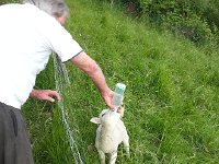 20140523 175949  They still go for the bottle!