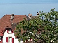 20140525 092428  Cherry tree and red shutters on the way to the garden