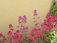 20140528 183524  Different shades