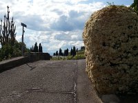 20140529 165029  Lavaux surreal I