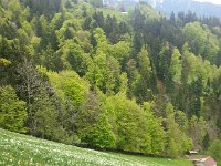 20140510 133104  (We will be back  here later in the month)