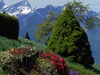 DSCN1433  There are a few chalets there with beautiful gardens