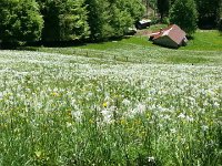 20140524 135820  Hidden field I