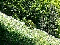 20140524 135833  Hidden field II