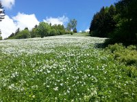 20140524 140245  We made a movie of this display!