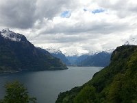20140517 124638  The Rütil is the little green meadow down on the edge of the lake.