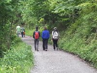 20140517 130849  The meadow was 400 m below the bus stop but the paths were well maintained
