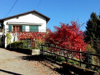 20141101 123139  A glorious first of November