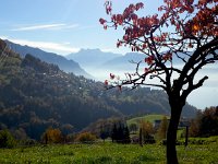 20141101 123752  and we of course go for a walk