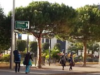 20141101 154512  A parade of instruments