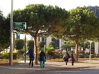 20141101 154514  headed to Stravinsky Hall