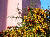 20141102 094010  Next day we set off again through Pertit2 Nov-