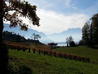 20141102 104704  Coming back by Chateau Chatelard