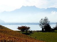20141102 104809  Les Dents du Midi