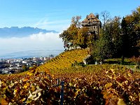 20141102 105114  Le Chateau