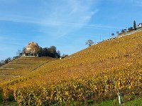 20141108 143048  A horizontal hike below Châtelard