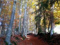 20141108 155849  CP returned to the apartment but I kept going