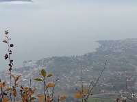 20141109 153834  The lake edge in the stratus