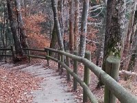 20141109 153930  Steps down from the belvedere