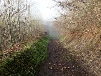 20141122 140436  22 Nov - looking down half way to Caux