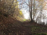20141122 140442  Blue sky above the stratus