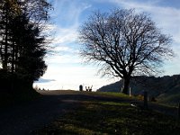 20141122 152507  Swiss countryside