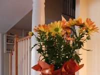 DSCN2622  The plant brought down by Grandma