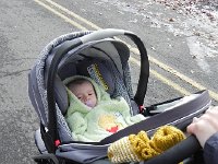 DSCN2681  which soon disappear into wooziness