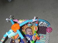 DSCN2731  Apparently all we did the day after Thanksgiving