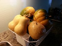 20141025 130125  More squash from the garden