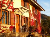 20141031 165024  Late afternoon in Sonzier