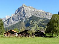 DSCN2474  Bire, above Kandersteg; on my way to Doldenhornhütte