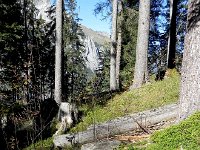 DSCN2475  The forest on the valley walls