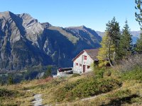 DSCN2497  I was not alone at the hut