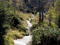 DSCN2498  The trail down