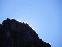 DSCN2501  Millions of bugs enjoying the Indian Summer