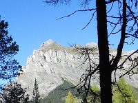 DSCN2506  Late afternoon light on Bire